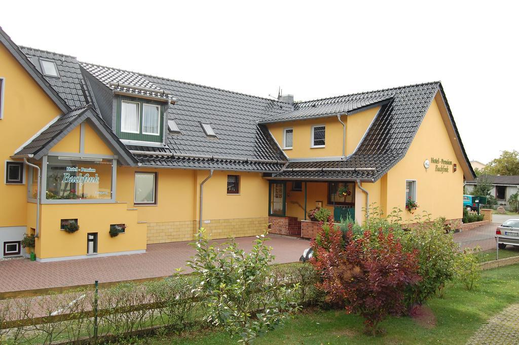 Pension Buchfink Ückeritz Extérieur photo